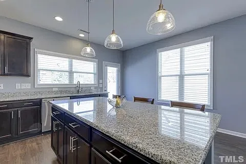 1232 Brown Velvet Ln — Photo 13