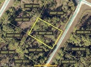 336 Nathan Ave, Lehigh Acres, FL 33974