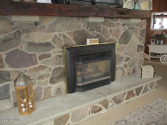 Fireplace Insert
