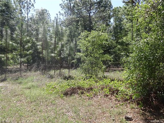 2nd image of 8224 W Vincent Ln