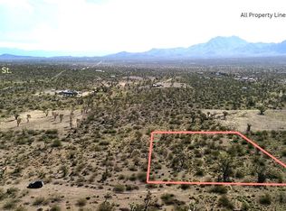 319-08 N Kenmore Dr #217, Dolan Springs, AZ 86441