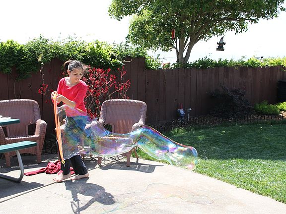 Patio and Yard