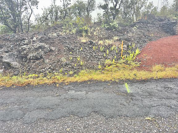 4th image of Palm Pkwy Lot 30