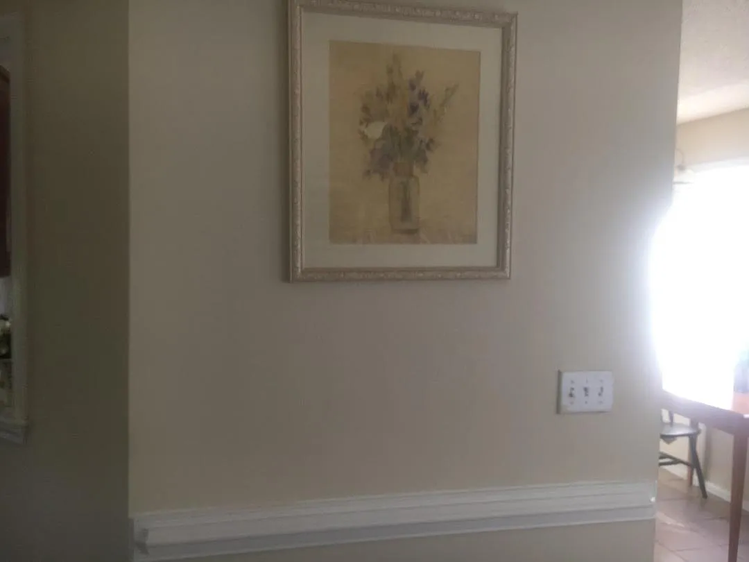 1 bed, 144 sqft, $800 — Photo 4