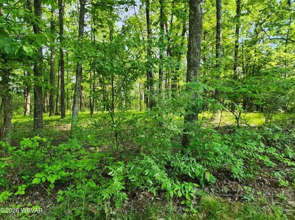 279 Oak St Lot 79, Muncy Valley, PA 17758