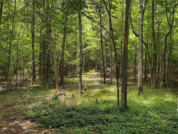 3rd image of 1109 Hopewell Church Rd