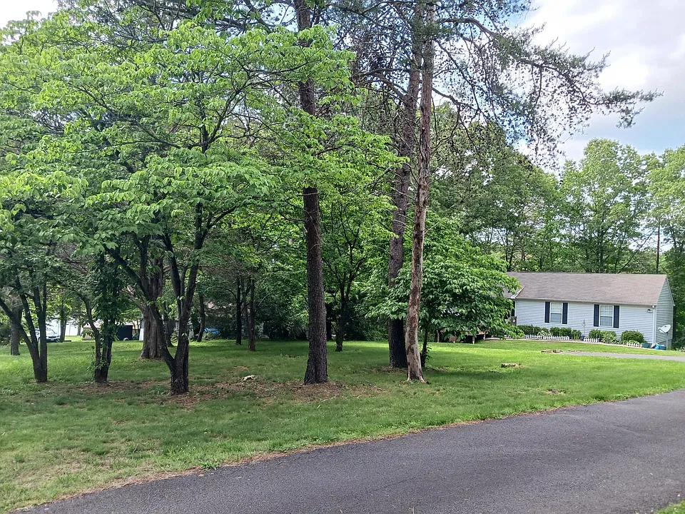 Dahlia Rd