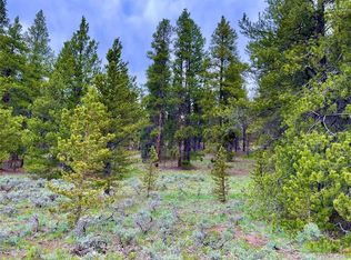 113 Columbine Ct, Leadville, CO 80461