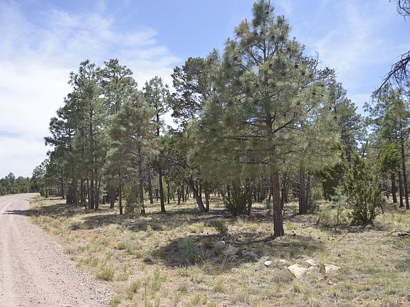 5th image of 6663 Mogollon Trl