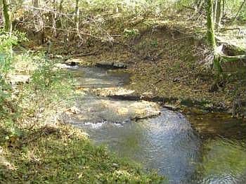 5th image of 111 Justice Hollow Rd