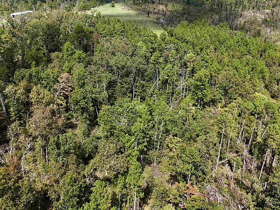 3rd image of 381 Preacher Rd