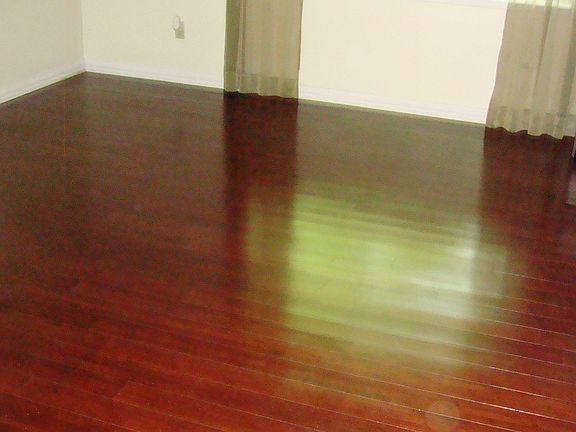 5th image of 4205 Shipley Ct