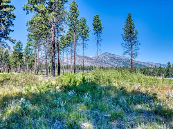 447 Two Horse Ln, Hamilton, MT 59840