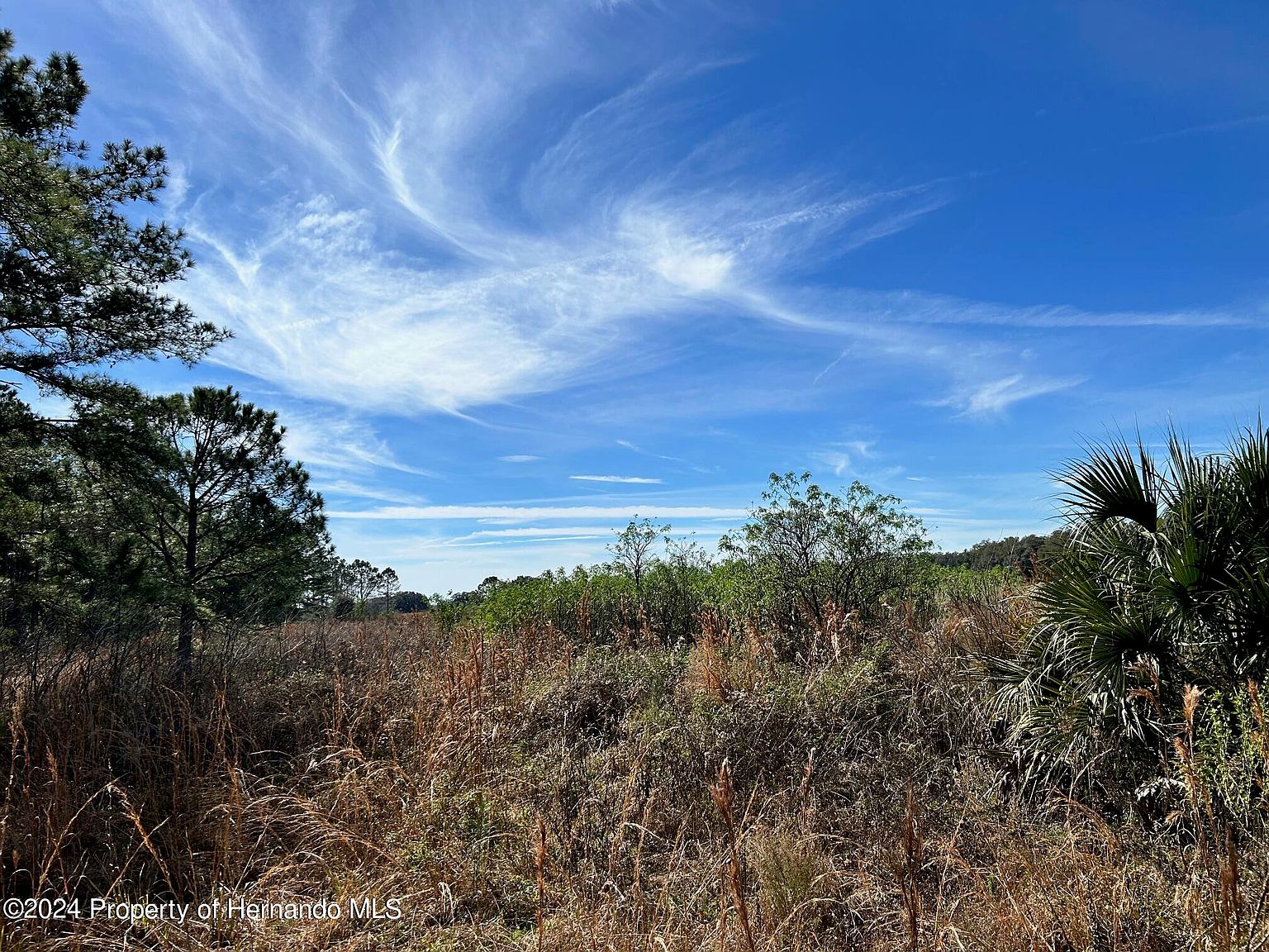 0 E East Ln C48, Center Hill, FL 33514 MLS 2236420 Zillow