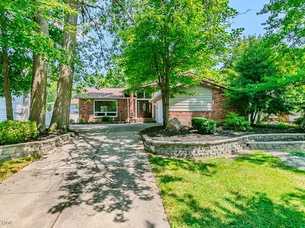 5593 Harleston Dr, Lyndhurst, OH 44124