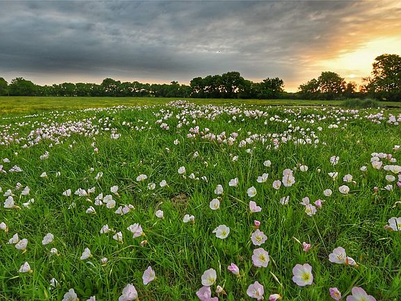 2nd image of Fm 1752 Rd