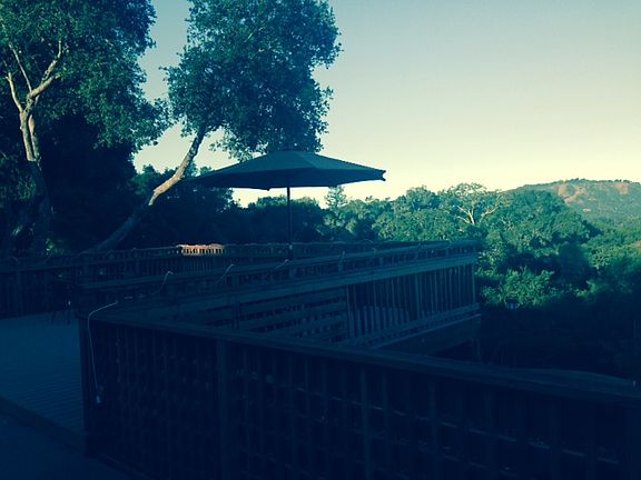 Luxuriant Forested Rear Yard