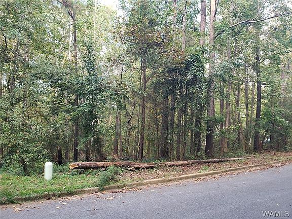 3rd image of 5112 Orchard Ln