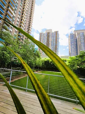 Rented by Corcoran | media 108