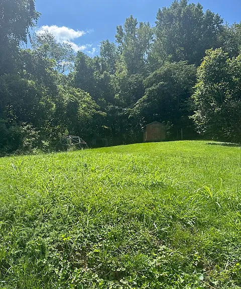 2306 Mount Olive Rd — Photo 6