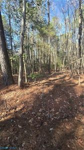 39 Bar Neck Rd #A, Pt Haywood, VA, 23138
