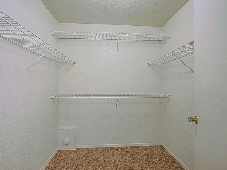 Terracina Apartments — Photo 8
