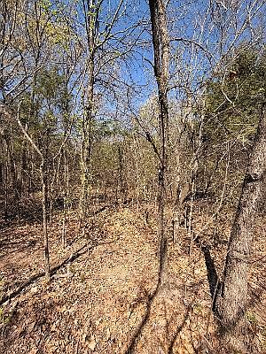 4th image of 1639 E County Rd