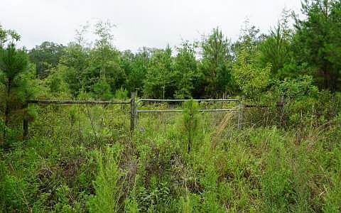 2nd image of 334 NW Battle Hill Ln