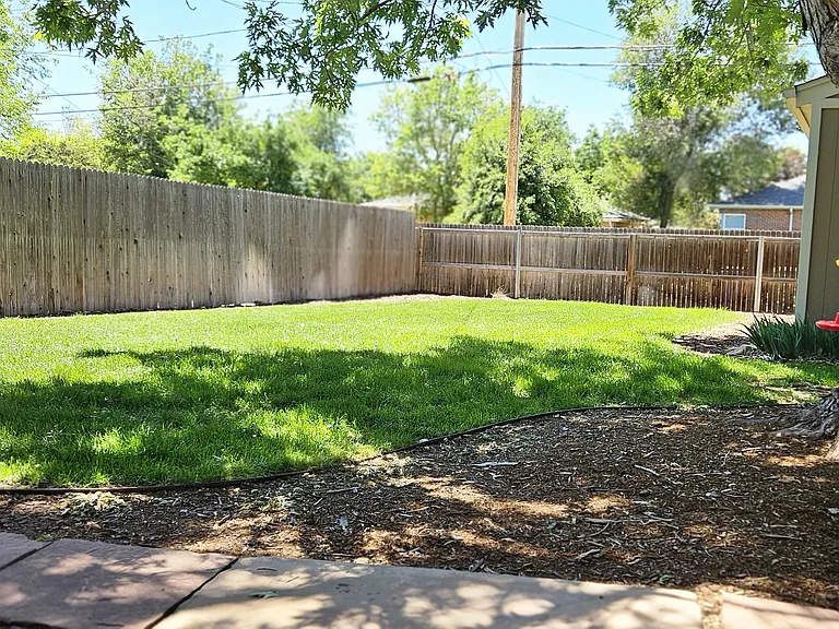 2415 Olive St — Photo 48