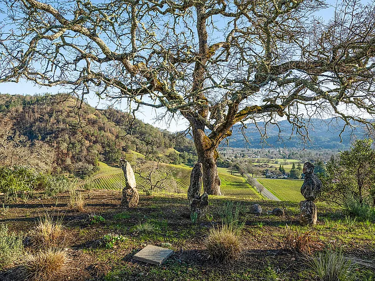 View from Kitchen Garden