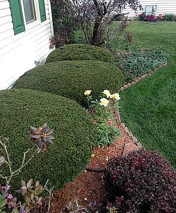2nd image of 26355 Oak Meadow Dr W