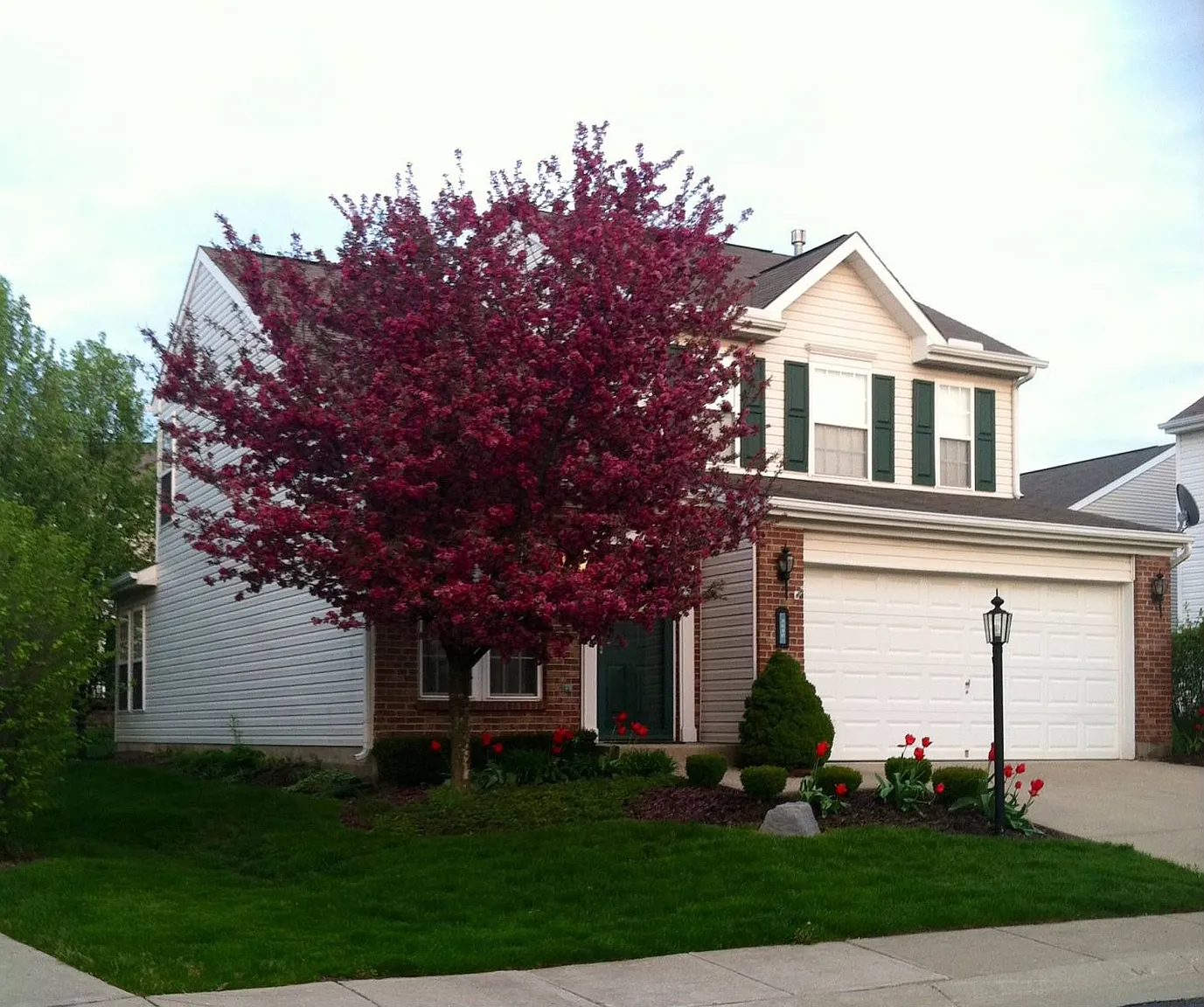 3630 King Edward Way photo 1