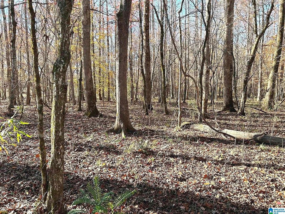 1st image of Walker Rd