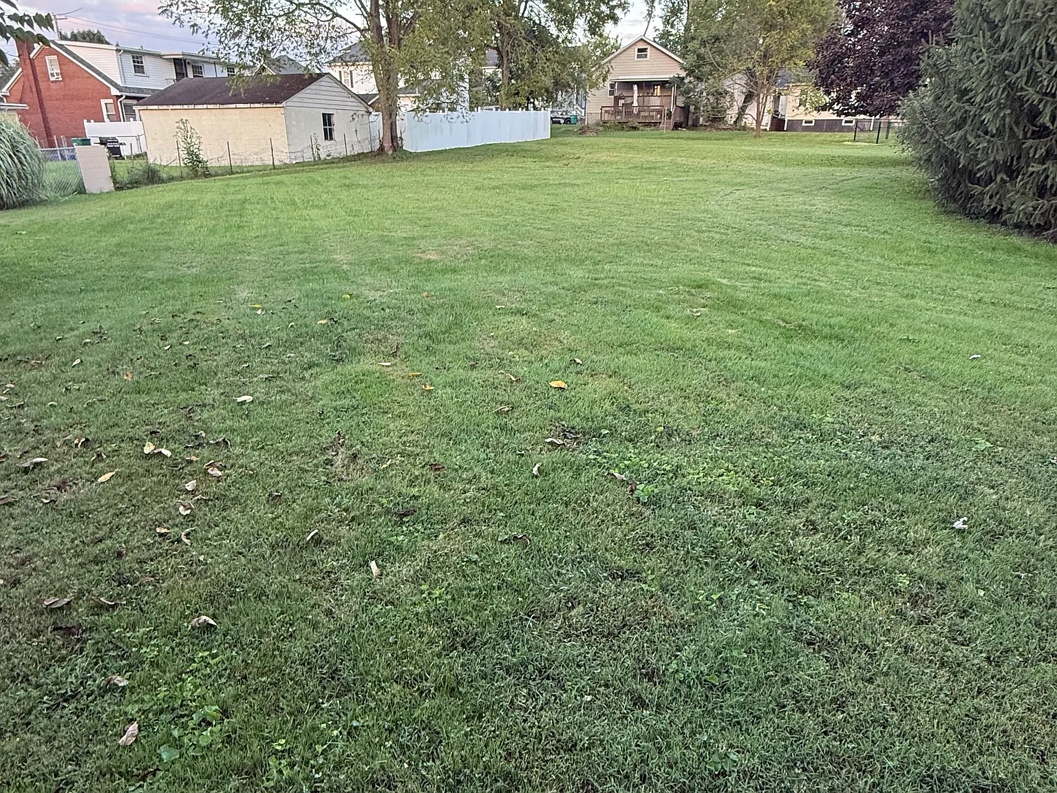 1 bed, 812 sqft, $1,350 — Photo 3