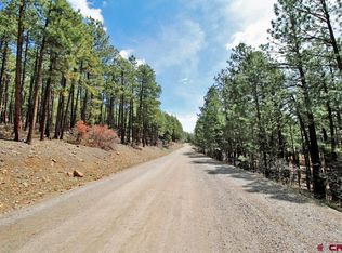 261 Valley View Dr, Bayfield, CO 81122