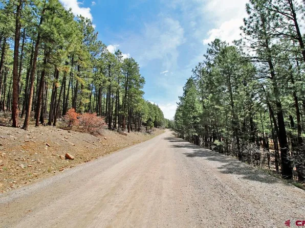 261 Valley View Drive, Bayfield, CO 81122