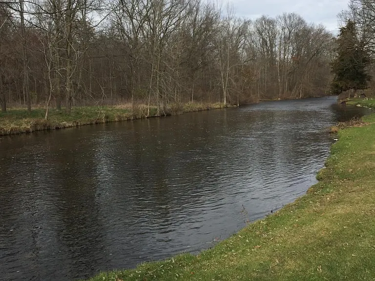 creek bordered by woods