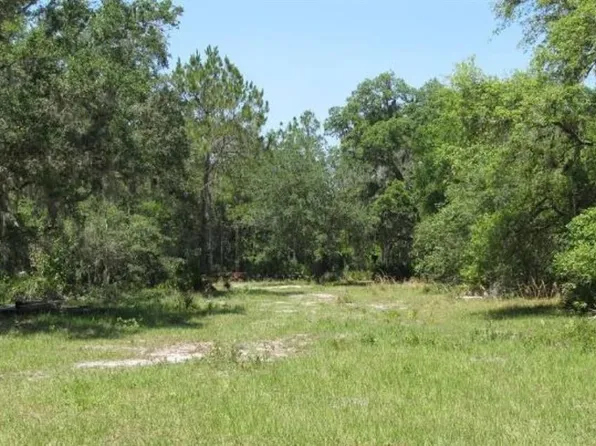 41117 20th Pl E, Myakka City, FL 34251