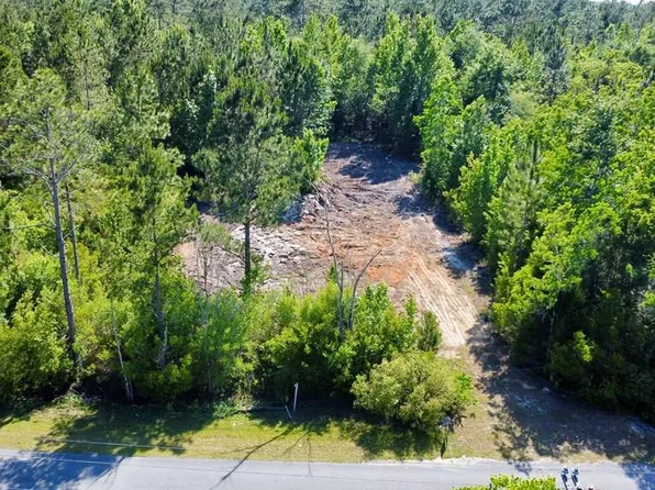 LOT 2 Old Bay City Rd, Wewahitchka, FL 32465