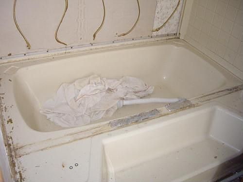 5th image of 147 Miller Dr