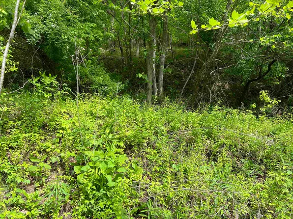 19787 E Lynn Rd, East Lynn, WV 25512