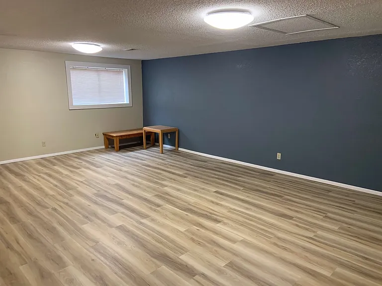 Lower level family room