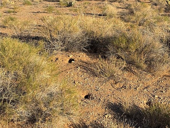 5th image of 9653 N Vista Drive