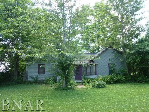 413 E Sheldon St, Kenney, IL 61749
