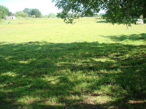 Large backyard