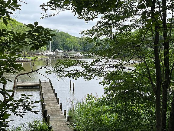 View from Living Room