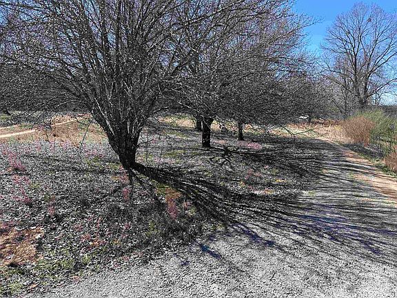 3rd image of 878 County Road 870