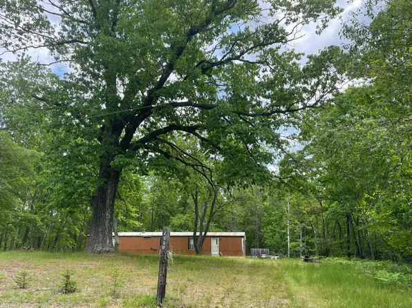 1110 N Alger Grade, Curran, MI 48728