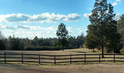 Back Pasture View