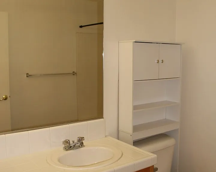 Pebble Cove Ct 8207 — Photo 15